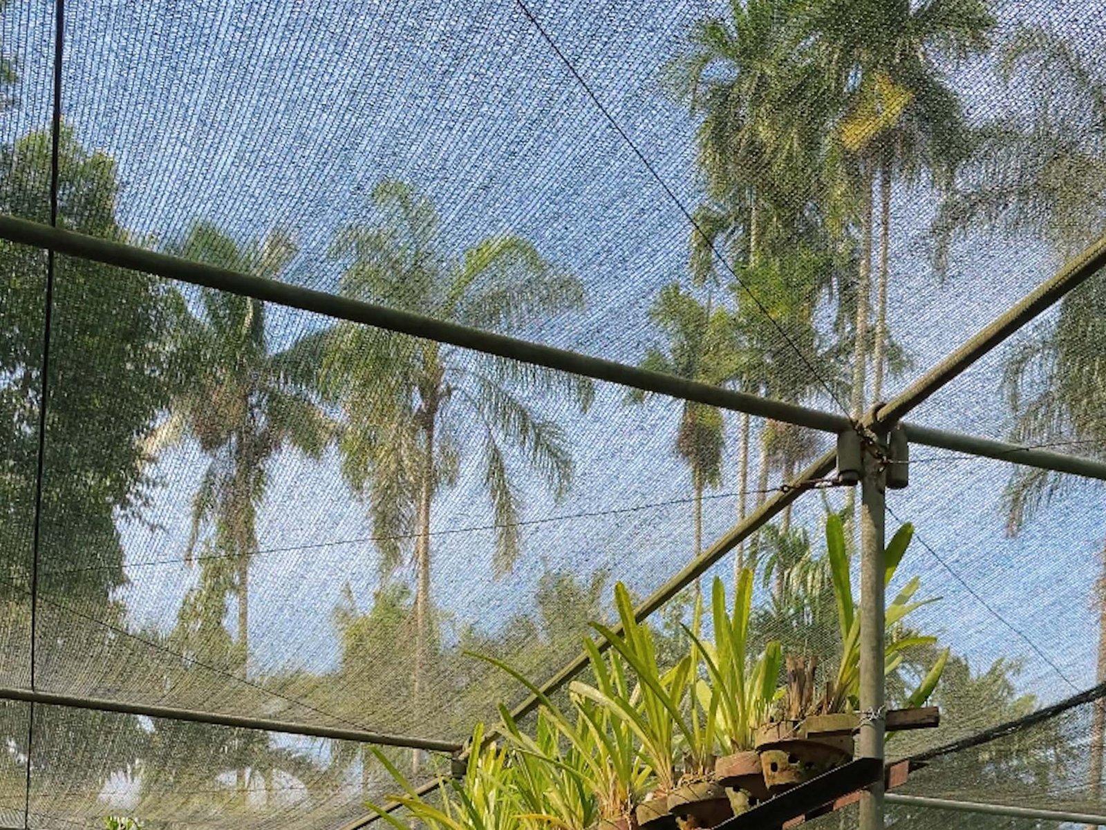 Rehat Sejenak di Kedai Kopi Brojon Borobudur Magelang