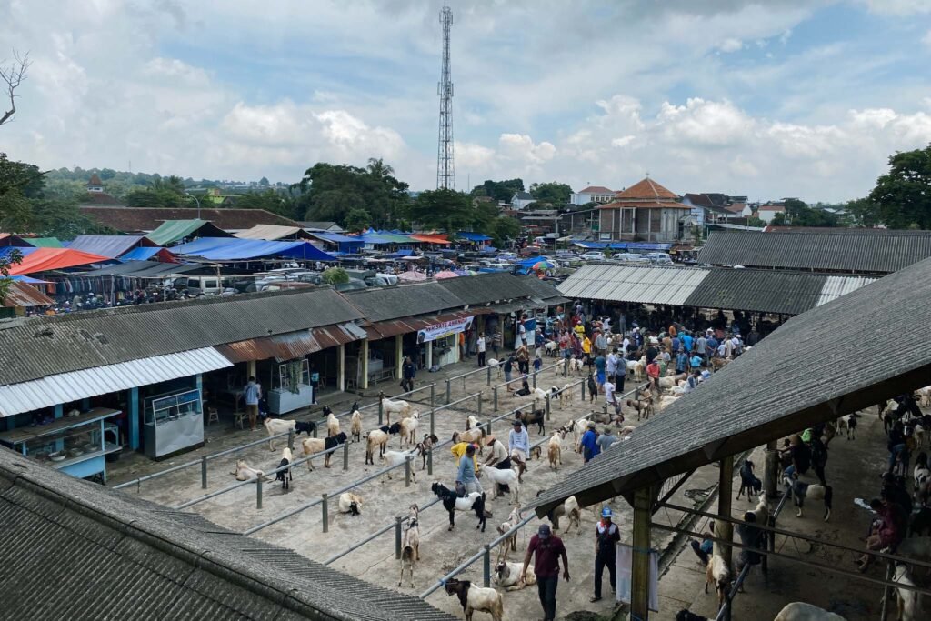 Pasar Hewan